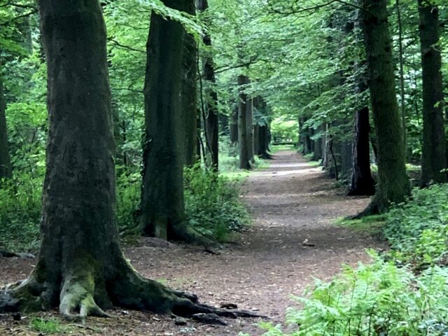 Natur im Schlosspark